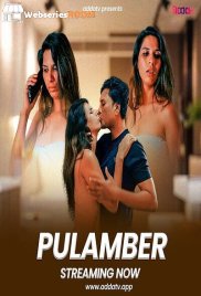 Plumber Addatv Uncut Short Film (2025) Plumber Addatv Uncut Short Film (2025)